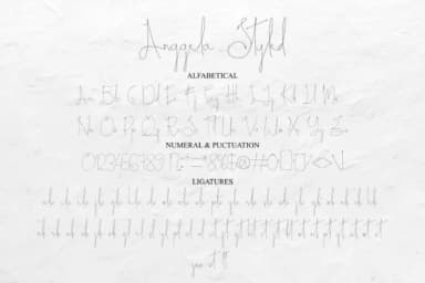 Anggela Styled Font by Muksal Creative — Script Handwritten Font — thumbnail 5