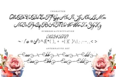 Anggika Font by sapre.studio — Script Handwritten Font — thumbnail 8