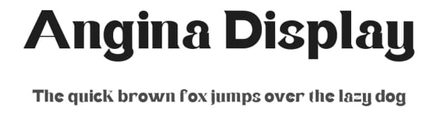 Angina Display by Masa Type — Sans Serif Font