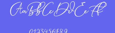 Animal Script by Moly Mol — Script Handwritten Font — thumbnail 3
