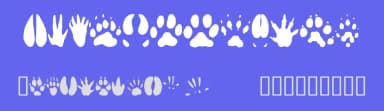 Animal Tracks by Andrew D. Taylor — Dingbats Font — thumbnail 3