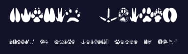 Animal Tracks by Andrew D. Taylor — Dingbats Font — thumbnail 2
