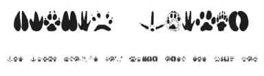 Animal Tracks by Andrew D. Taylor — Dingbats Font — thumbnail 1
