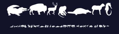Animals by Alan Carr — Dingbats Font — thumbnail 2