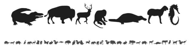 Animals by Alan Carr — Dingbats Font