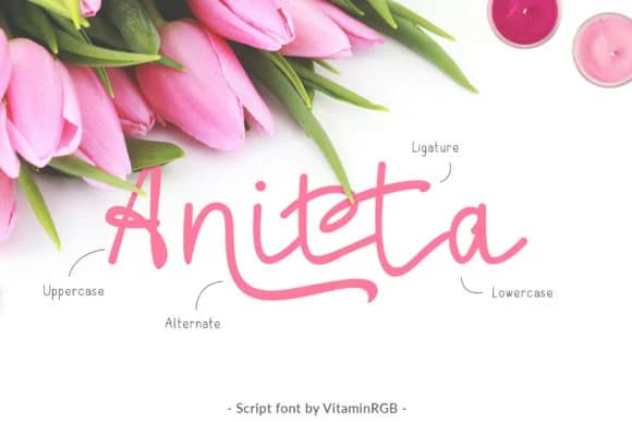 Anitta Script Font by VitaminRGB — Sans Serif Font