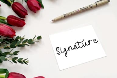 Anitta Script Font by VitaminRGB — Sans Serif Font — thumbnail 7