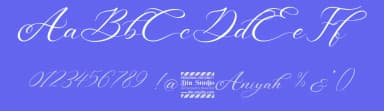 Aniyah by Din Studio — Script Handwritten Font — thumbnail 3