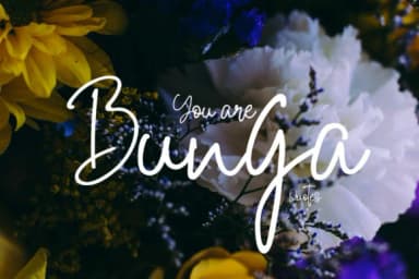 Anjany Font by miwbiedesign — Script Handwritten Font — thumbnail 2