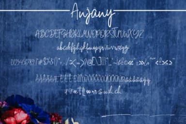 Anjany Font by miwbiedesign — Script Handwritten Font — thumbnail 6