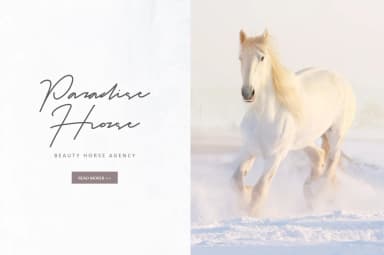 Ankara Font by Graphicfresh — Script Handwritten Font — thumbnail 3