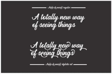 Anne De Marie Font by alandya typefoundry — Script Handwritten Font — thumbnail 6