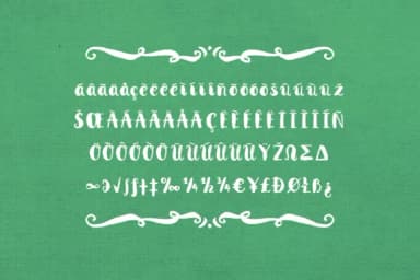 Anne with an E Font by Laura Bolter Design — Script Handwritten Font — thumbnail 6