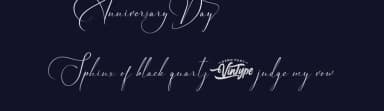 Anniversary Day by VinType — Script Handwritten Font — thumbnail 2