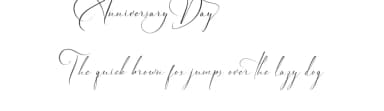 Anniversary Day by VinType — Script Handwritten Font — thumbnail 1