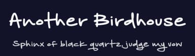 Another Birdhouse by Brittney Murphy Design — Script Handwritten Font — thumbnail 2