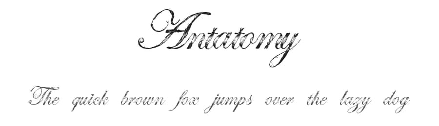 Antatomy by Ella Mobbs — Script Handwritten Font