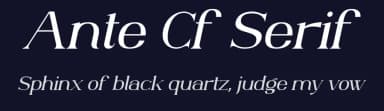 Ante Cf Serif by Irfan Hidayat — Serif Font — thumbnail 2