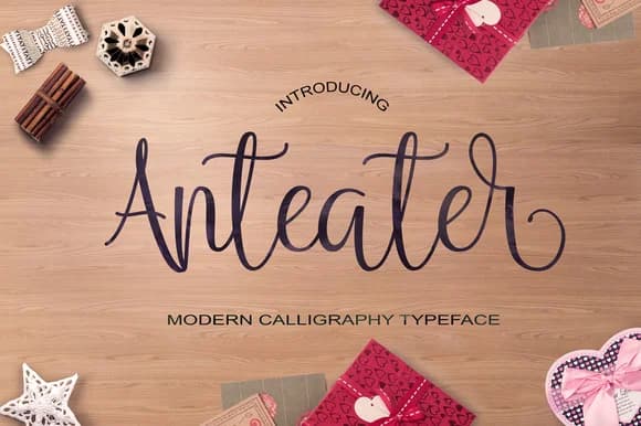 Anteater Font by JoeeCreative — Script Handwritten Font