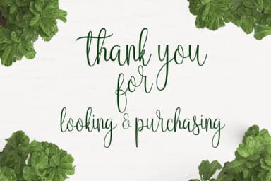 Anteater Font by JoeeCreative — Script Handwritten Font — thumbnail 5