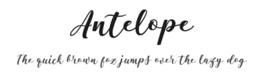 Antelope by Pollem Studio — Script Handwritten Font — thumbnail 1