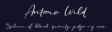 Antero Wild by ToniStudio — Script Handwritten Font — thumbnail 2