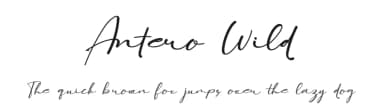 Antero Wild by ToniStudio — Script Handwritten Font — thumbnail 1