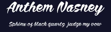 Anthem Nasney by cove703 — Script Handwritten Font — thumbnail 2
