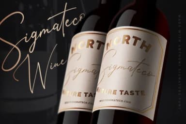 Anthoni Signature Font by Kotak Kuning Studio — Script Handwritten Font — thumbnail 4