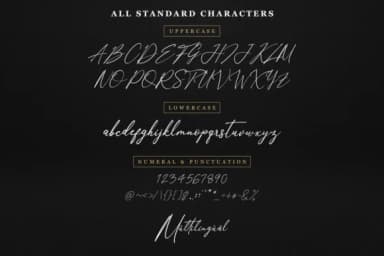 Anthoni Signature Font by Kotak Kuning Studio — Script Handwritten Font — thumbnail 8
