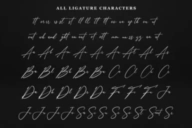 Anthoni Signature Font by Kotak Kuning Studio — Script Handwritten Font — thumbnail 9