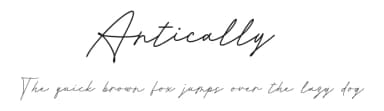 Antically by Niskala Huruf — Script Handwritten Font — thumbnail 1