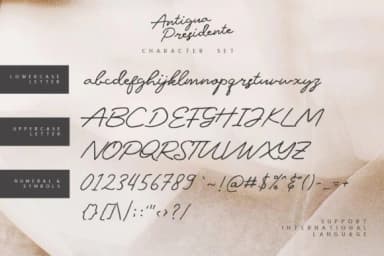 Antigua Presidente Font by Graphicfresh — Script Handwritten Font — thumbnail 6