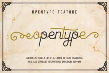 Antiqueline Font by putracetol — Script Handwritten Font — thumbnail 4