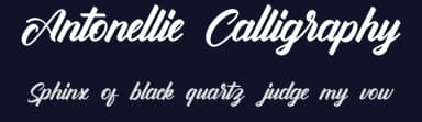 Antonellie Calligraphy by Ketikata Studio — Script Handwritten Font — thumbnail 2