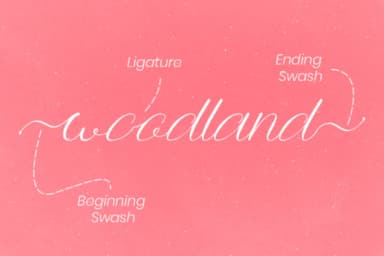 Anttalla Font by attypestudio — Script Handwritten Font — thumbnail 7