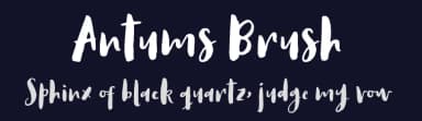 Antums Brush by Linetotype — Script Handwritten Font — thumbnail 2
