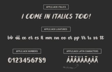 Applejack Font by daniel.feldt — Script Handwritten Font — thumbnail 6