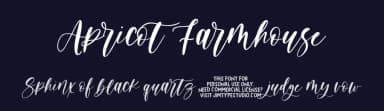 Apricot Farmhouse by Jimtype Studio — Script Handwritten Font — thumbnail 2
