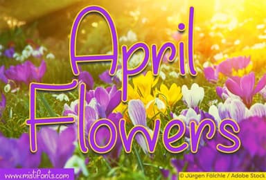 April Flowers Font by Misti — Script Handwritten Font — thumbnail 1