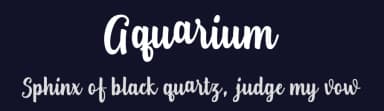Aquarium by Donny Mark — Script Handwritten Font — thumbnail 2