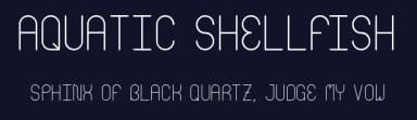 Aquatic Shellfish by Brixdee — Sans Serif Font — thumbnail 2