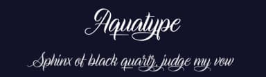 Aquatype by Cat.B — Script Handwritten Font — thumbnail 2