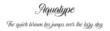 Aquatype by Cat.B — Script Handwritten Font — thumbnail 1