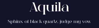 Aquila by Tokopress — Serif Font — thumbnail 2