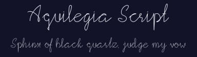Aquilegia Script by Grafemars — Script Handwritten Font — thumbnail 2