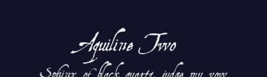 Aquiline Two by Manfred Klein — Script Handwritten Font — thumbnail 2
