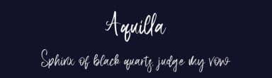Aquilla by StringLabs Creative Studio — Script Handwritten Font — thumbnail 2