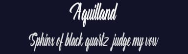 Aquilland by Analogous Studio — Script Handwritten Font — thumbnail 2