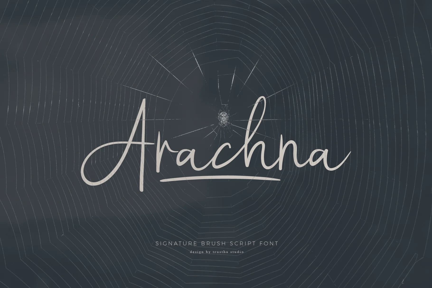 Arachna Font by trusthastd — Script Handwritten Font
